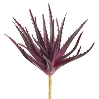 Soft Touch Eggplant Spiky Aloe Pick