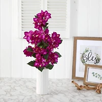 23" Bougainvillea Plant in White Planter