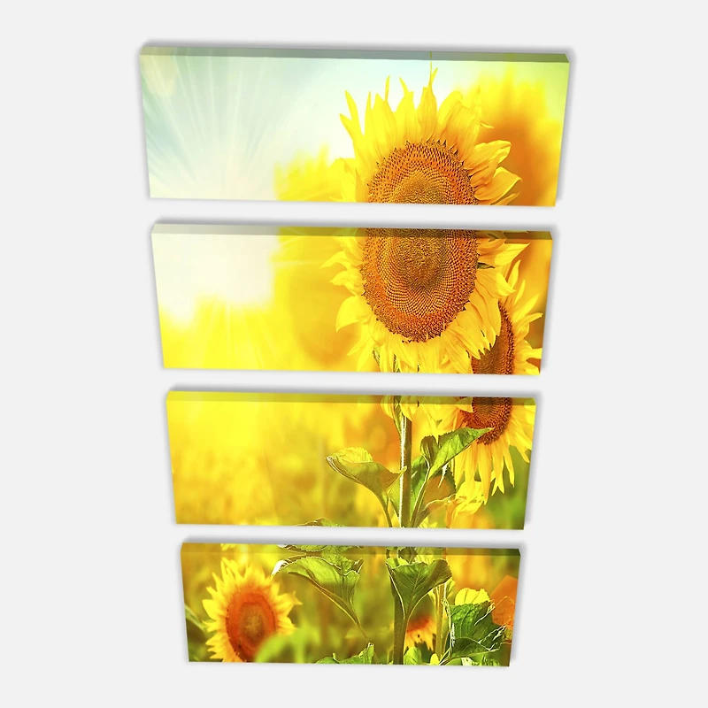 Designart - Bright Sunflowers Blooming on Field