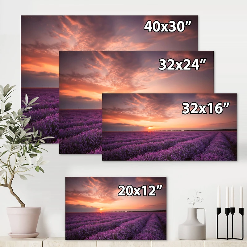 Designart - Sunrise & Dramatic Clouds Over Lavender Field XII