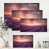 Designart - Sunrise & Dramatic Clouds Over Lavender Field XII