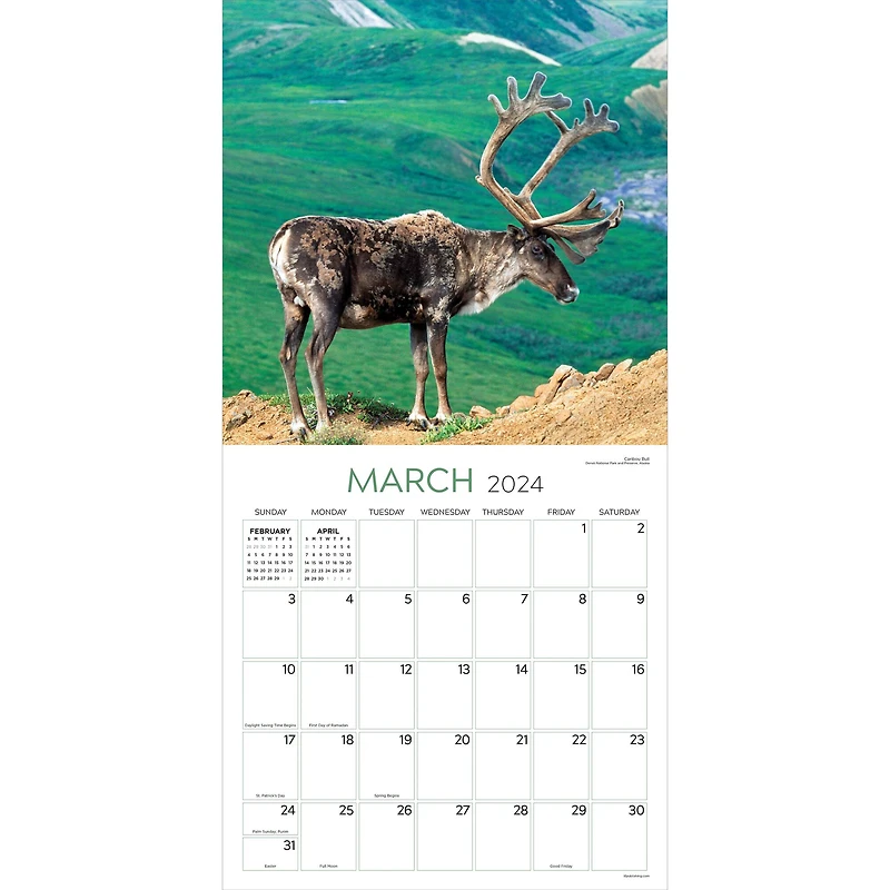 TF Publishing 2024 Wild Wall Calendar