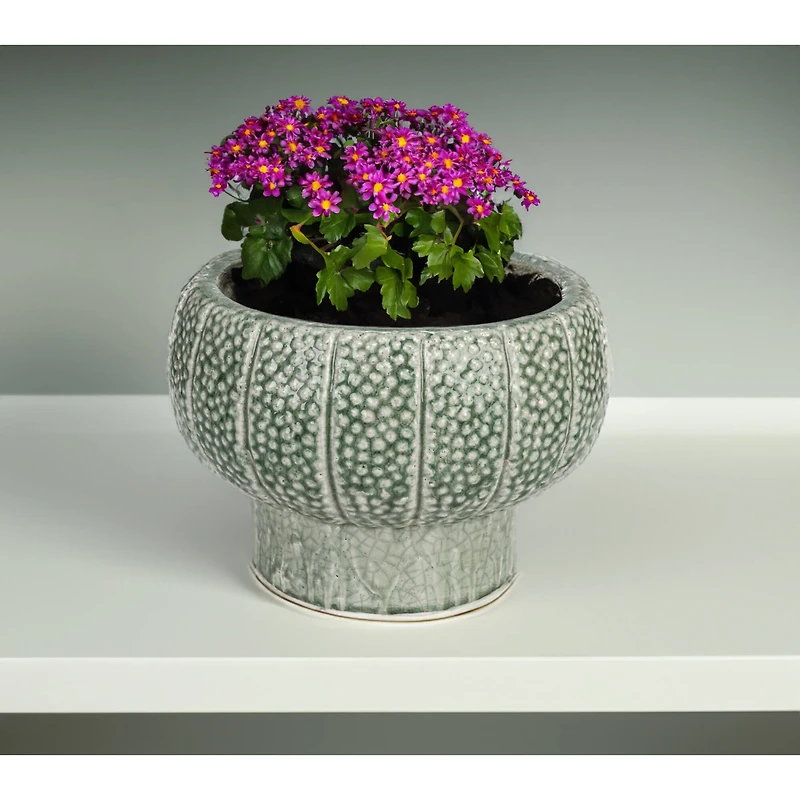 Hello Honey® 10.5" Green Dot Pattern Crackle Glaze Embossed Terra Cotta Footed Vase Planter