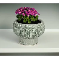Hello Honey® 10.5" Green Dot Pattern Crackle Glaze Embossed Terra Cotta Footed Vase Planter