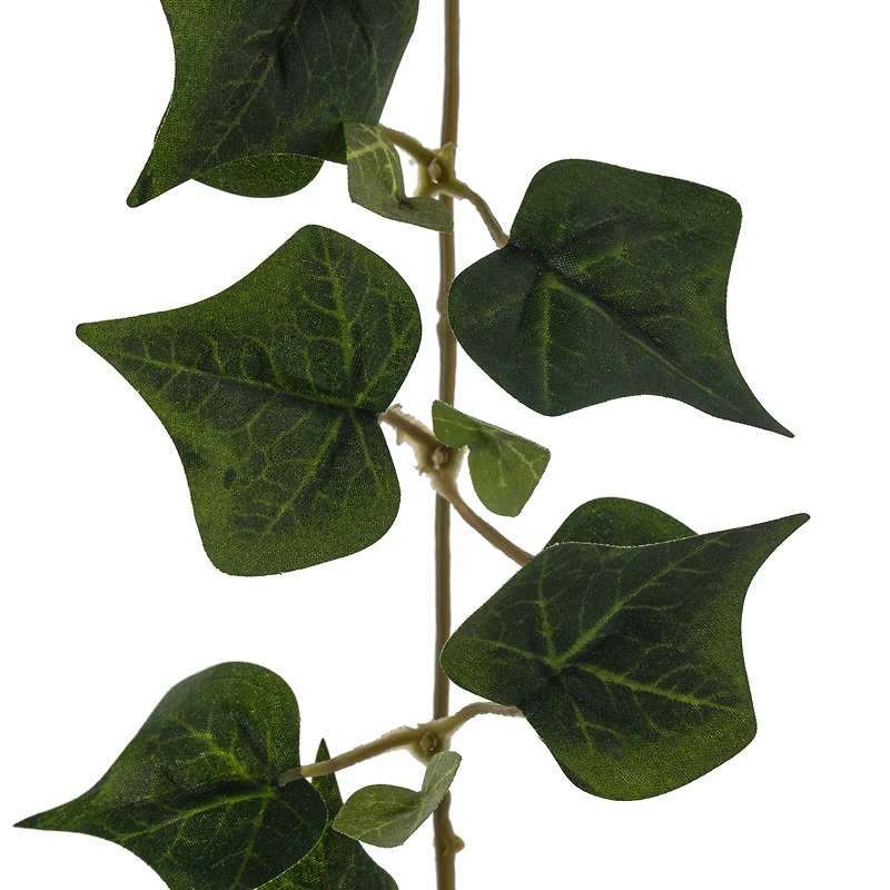 Assorted 6ft. Mini Ivy Garland by Ashland®