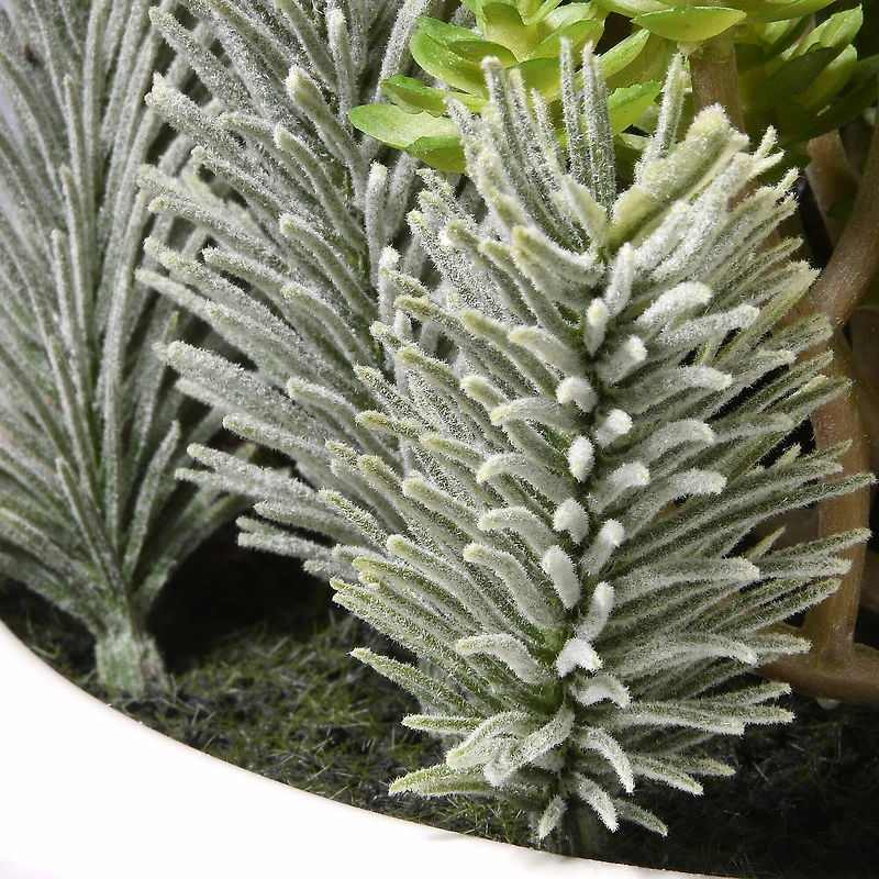 7.5" Succulent Plants in White Planter