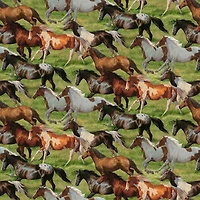 Wild Wings Horses Running Free Cotton Fabric