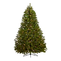 6ft. Pre-Lit Cambridge Spruce Flat Back Artificial Christmas Tree, Warm White LED Lights