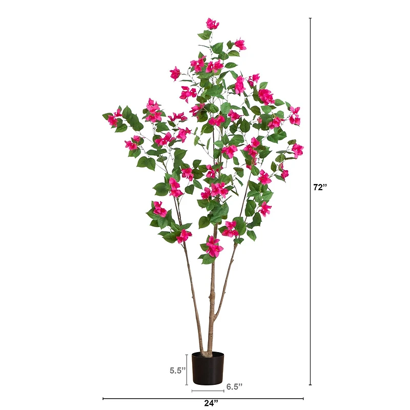 6ft. Potted Pink Minimalist Bougainvillea Tree