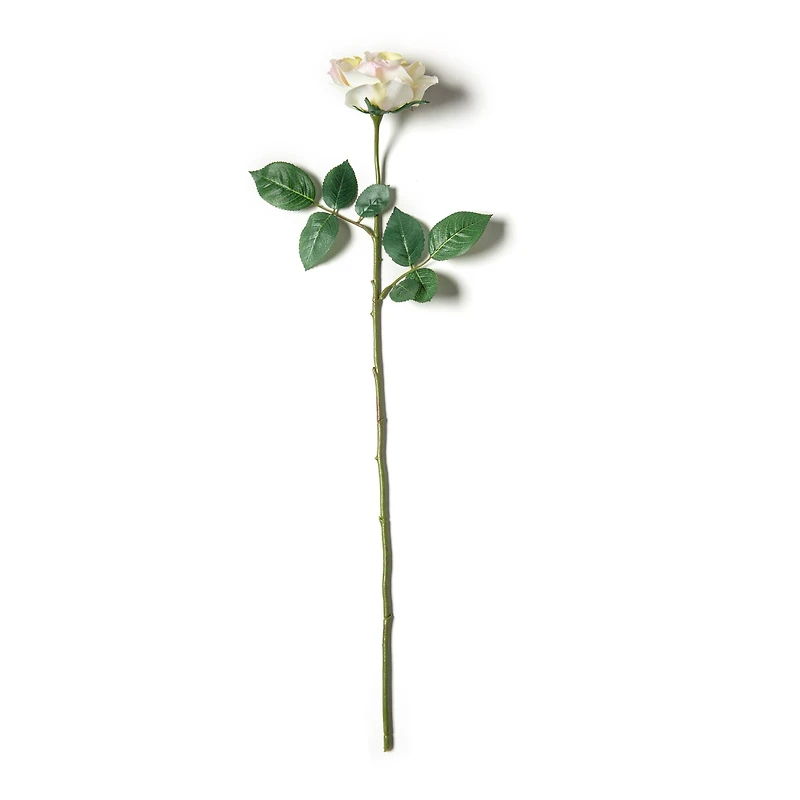 12 Pack: White Princess Rose Stem by Ashland®