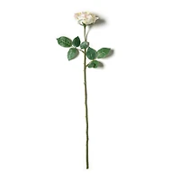 12 Pack: White Princess Rose Stem by Ashland®
