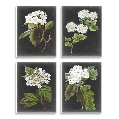 Stupell Industries Charming White Cottage Florals over Charcoal Gray Wall Plaque Set