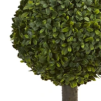 21" Potted Boxwood Ball Topiary Tree