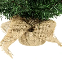 24" Unlit Mini Pine Artificial Christmas Tree in Burlap Sack
