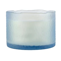 16oz. 3-Wick Scented Glass Candle by Ashland