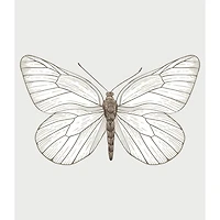 RoomMates White Butterfly Tapestry