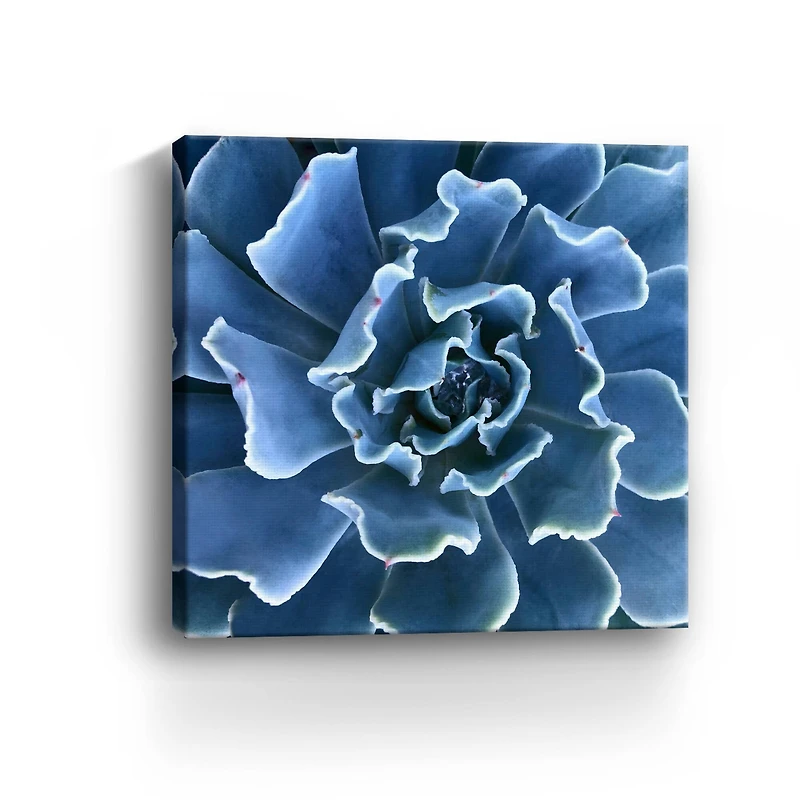 Lumaprints Ruffled Edges Canvas Wall Art