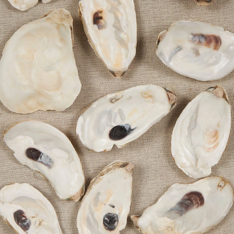 Cream Shell Shell Handmade Abstract Wall Décor with Beige Linen Backing & Black Frame