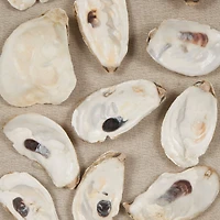 Cream Shell Shell Handmade Abstract Wall Décor with Beige Linen Backing & Black Frame