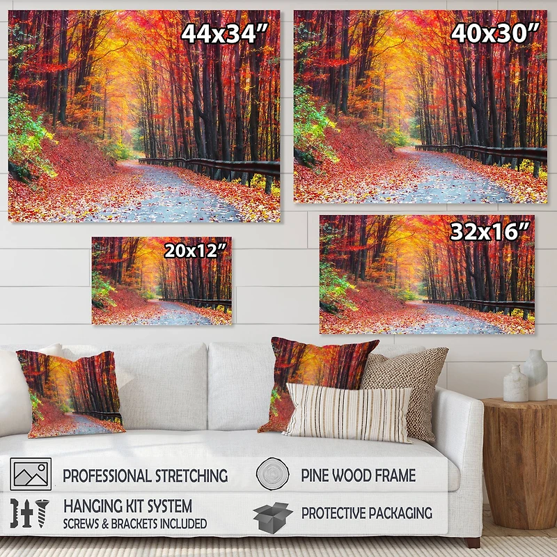 Designart "Road in Beautiful Autumn Forest" Modern Forest Canvas Art
