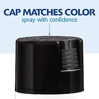 Rust-Oleum® Painter's Touch® 2X Ultra Cover® Gloss Spray Paint