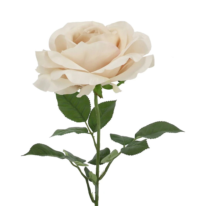 29" Beige Rose Stem by Ashland®
