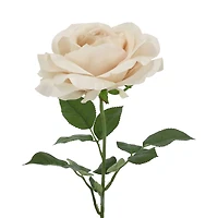 29" Beige Rose Stem by Ashland®