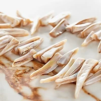 Tan Shell Stick Beads, 28mm by Bead Landing™