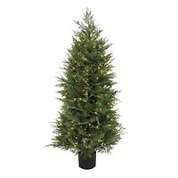 5ft. Pre-Lit Cypress Tree in Nursery Pot