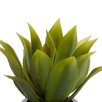22" Potted Contemporary Succulent Artificial Foliage