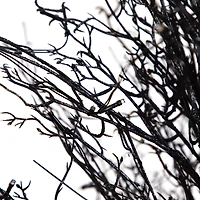 5ft. Pre-Lit LED Halloween Black Twig Artificial Fall Tree in Burlap Planter