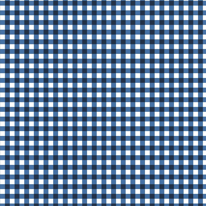 Gingham Print Craft Fabric