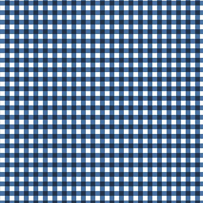 Gingham Print Craft Fabric