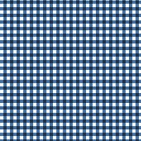 Gingham Print Craft Fabric