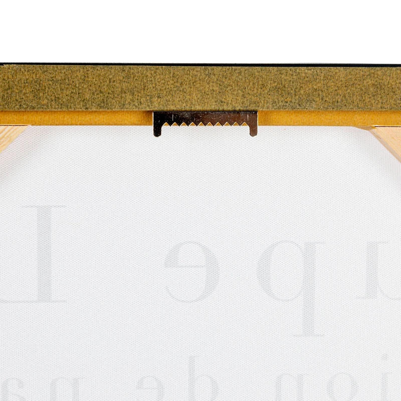 Hello Honey® Black & White Coupe Lino Canvas Framed Wall Décor