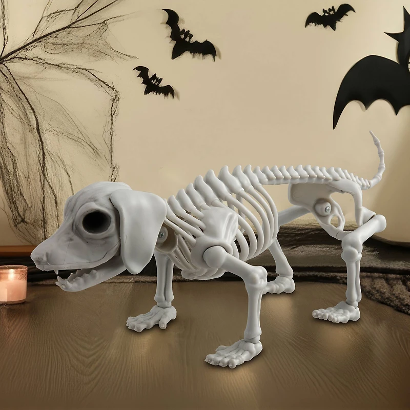 12.5" Dog Skeleton by Ashland®