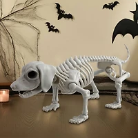 12.5" Dog Skeleton by Ashland®