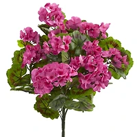 Pink & Green Geranium Bush, 3ct.