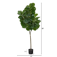 6ft. Potted Fiddle Leaf Fig Tree