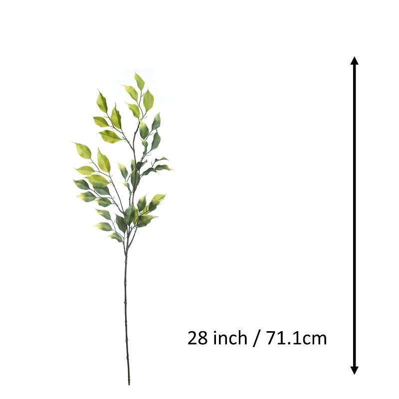 30" Green Ficus Stem by Ashland®