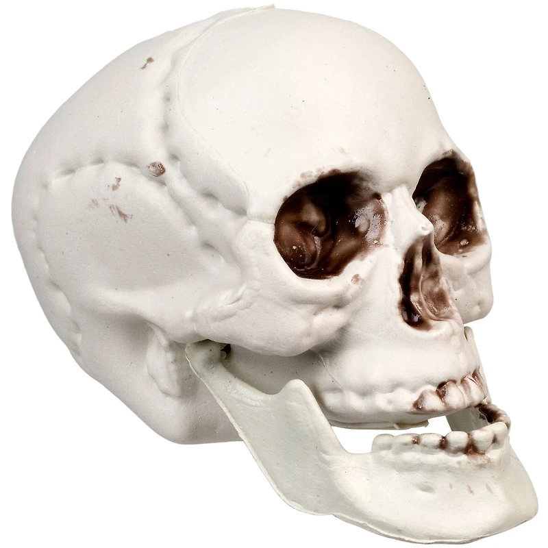 3.5'' Skull Head Halloween Decorations, 6ct.