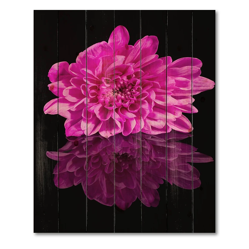 Designart - Single Chrysanthemum Flower On Black Reflection