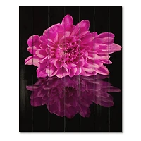 Designart - Single Chrysanthemum Flower On Black Reflection