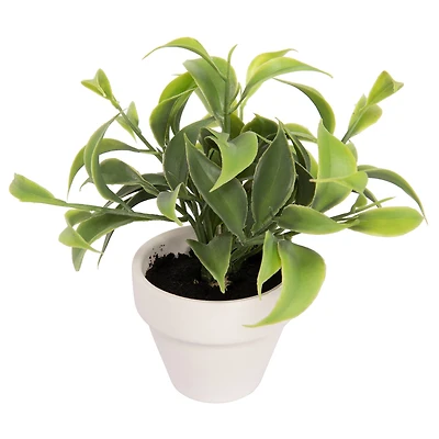 Assorted Micro Premade Leaf Plant, 1pc. by Ashland®