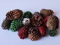 Cinnamon Scented Pine Cone Mix by Ashland®