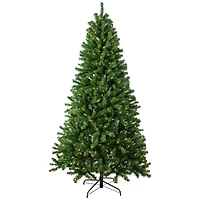 7ft. Pre-Lit Full Pendleton Spruce Artificial Christmas Tree, Clear Lights