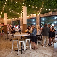 "Moss" Artificial Foliage Plant Green Wall Panels, 4ct.