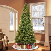 10ft. Pre-Lit Berkshire Fir Artificial Christmas Tree, Clear Lights