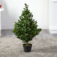 3ft. Potted Olive Cone Topiary Tree