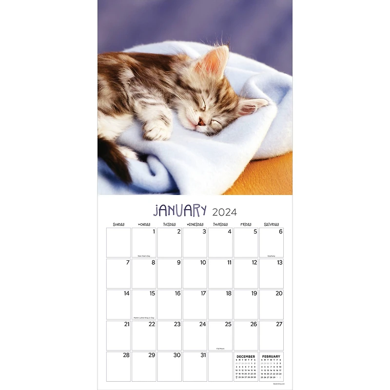 TF Publishing 2024 Cat Dreams Wall Calendar